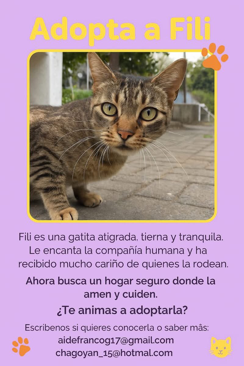 Está en la Ciudad de México, en CU