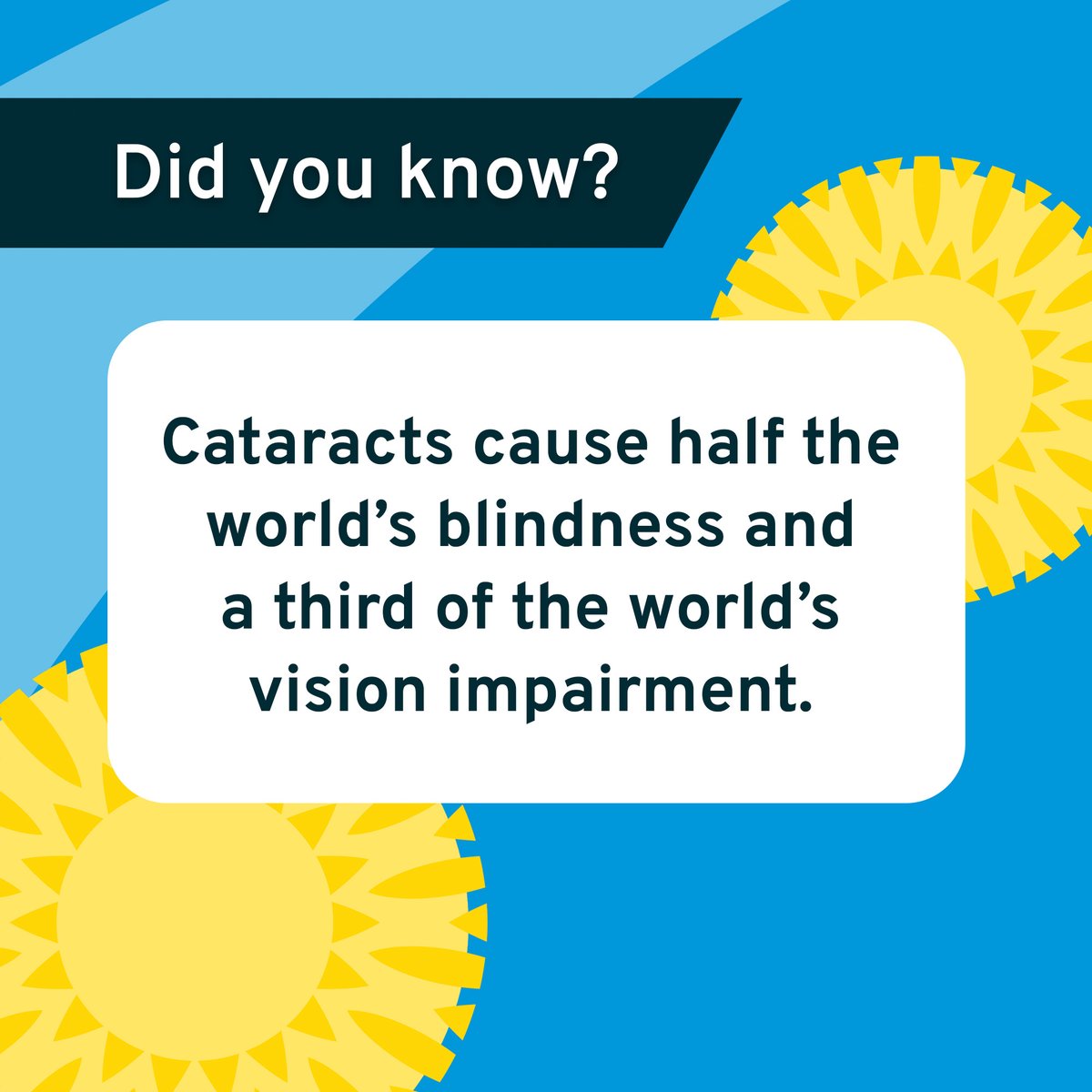 👁️ Did you know cataracts cause half the world’s blindness? It’s Cataract Awareness Month — and if you’re over 40, it’s a great time to check your eye health. At Sydney Eye Hospital Foundation, we support sight-saving surgery &amp; research for the <a href="/SEastSydHealth/">SESLHD</a> .
💡 Follow us for