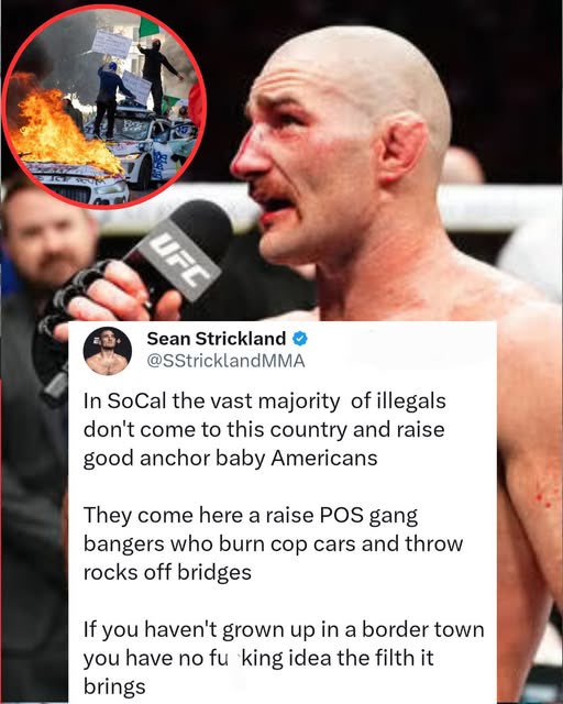 💥Hank💥 (@hankishtwitzone) on Twitter photo Couldn’t agree with <a href="/SStricklandMMA/">Sean Strickland</a> more!! Illegals don’t generally raise law abiding citizens!! Couldn’t agree with <a href="/SStricklandMMA/">Sean Strickland</a> more!! Illegals don’t generally raise law abiding citizens!!