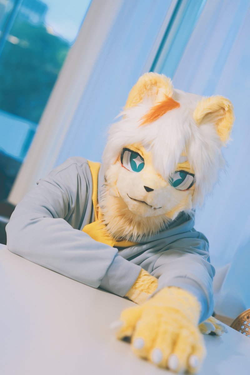Ariel 🦁🔜関けも (@weeklyariel) on Twitter photo 