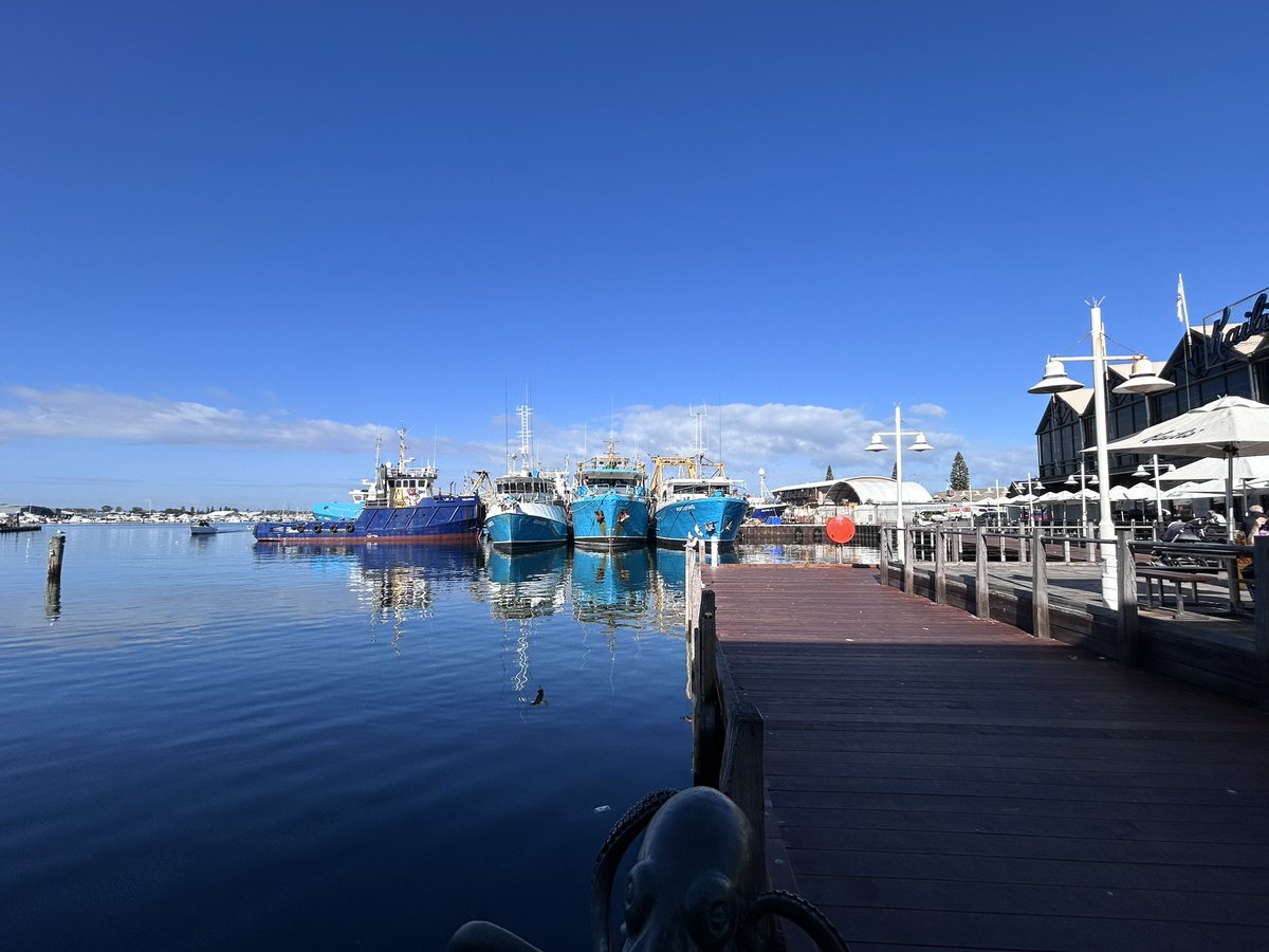 freopics_'s tweet photo. So quiet and still today #infreo https://t.co/T8kCqCeb60
