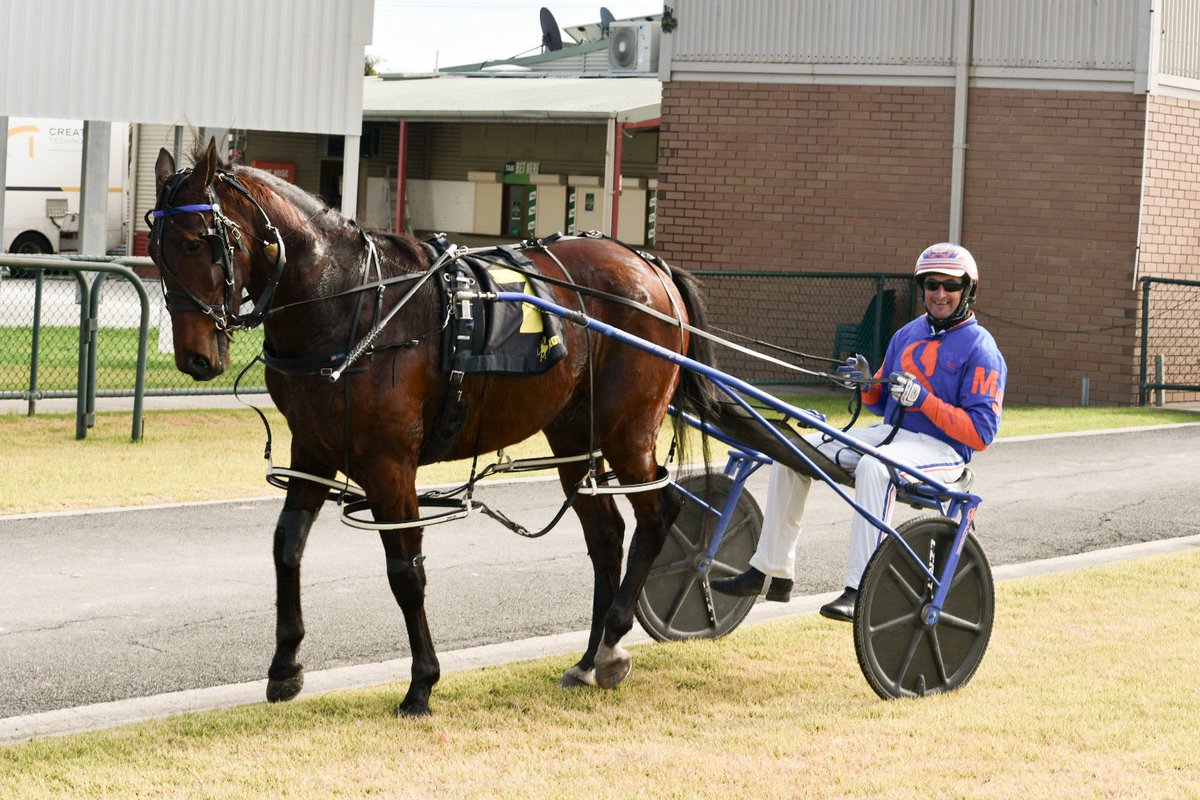 2yo colt SHESTERKIN posts a win on debut in open age company, leading all the way in the WORLDS BEST HOOF OIL MAIDEN PACE to launch the 15th Horsham Participants Appreciation Day. 

Congratulations trainer-driver MICHAEL STANLEY and breeder/owners JB &amp; RH Startin.