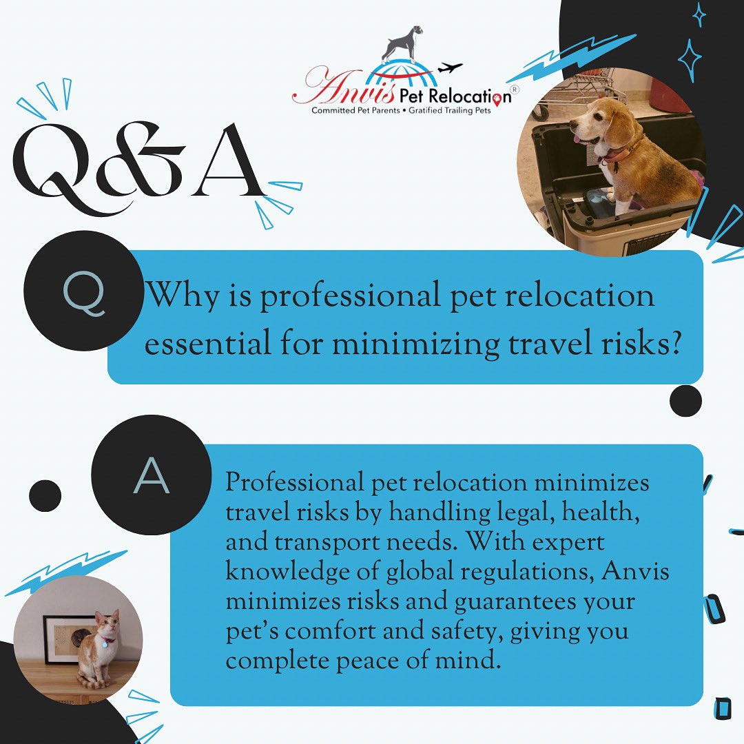 anvisinc's tweet photo. Trust Anvis to handle the journey with care, compliance, and complete peace of mind. #PetTravelMadeEasy #AnvisPetRelocation https://t.co/UH7WK35SBY