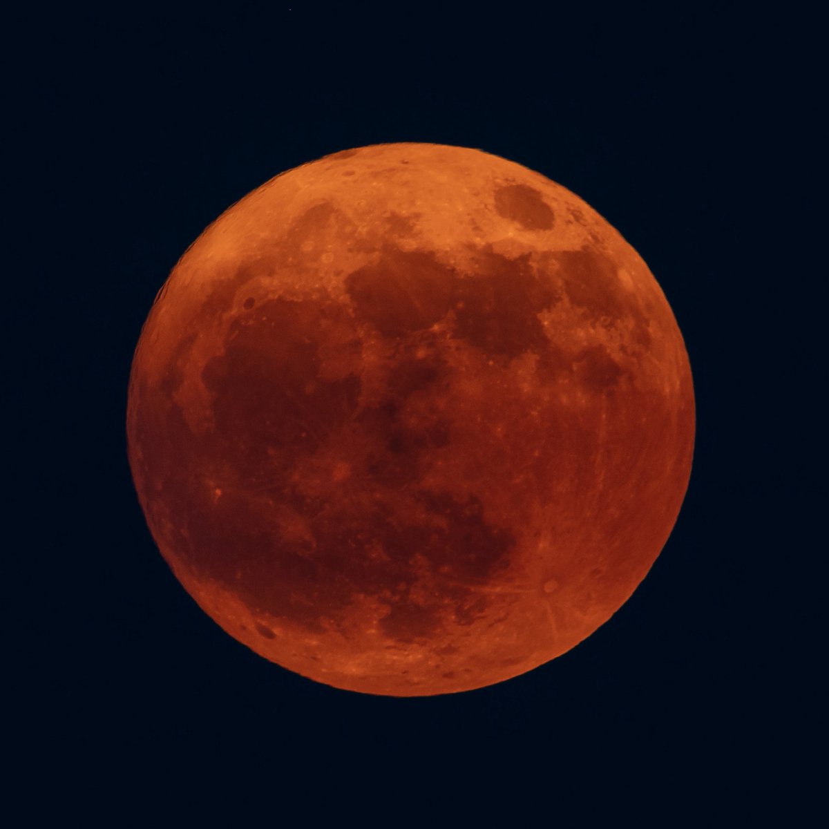 kathy7's tweet photo. Strawberry moon of Kentucky, keep on shining. @framesonmain photo. #StrawberryMoon  #kywx @Kentuckyweather @jloganwxguy @weatherchannel @accuweather @WeatherNation https://t.co/BNRUw1sv3Z