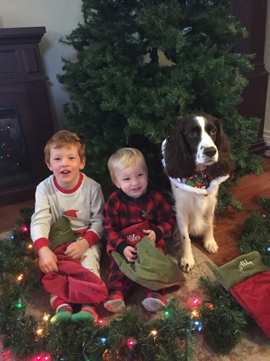 CoachWitz's tweet image. We had to put our little girl down today. It was incredibly difficult. We had 14.5 years together. She helped us raise our children (Charlie and Miles). Not having her here to do our night time routine absolutely killed me.  I’m a mess.