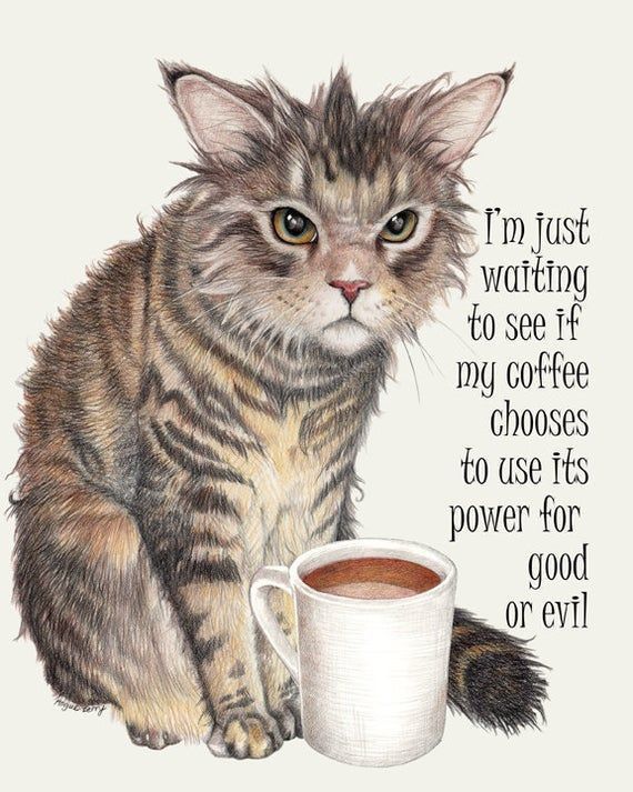 FMHS-PDS Peer Networking Afternoon, this week on Friday, June 13th, starting at 4 pm at Superfino Café! Coffee and snacks are provided – Please look for us by the banner and sign in to receive an FMHS-PDS coffee token.