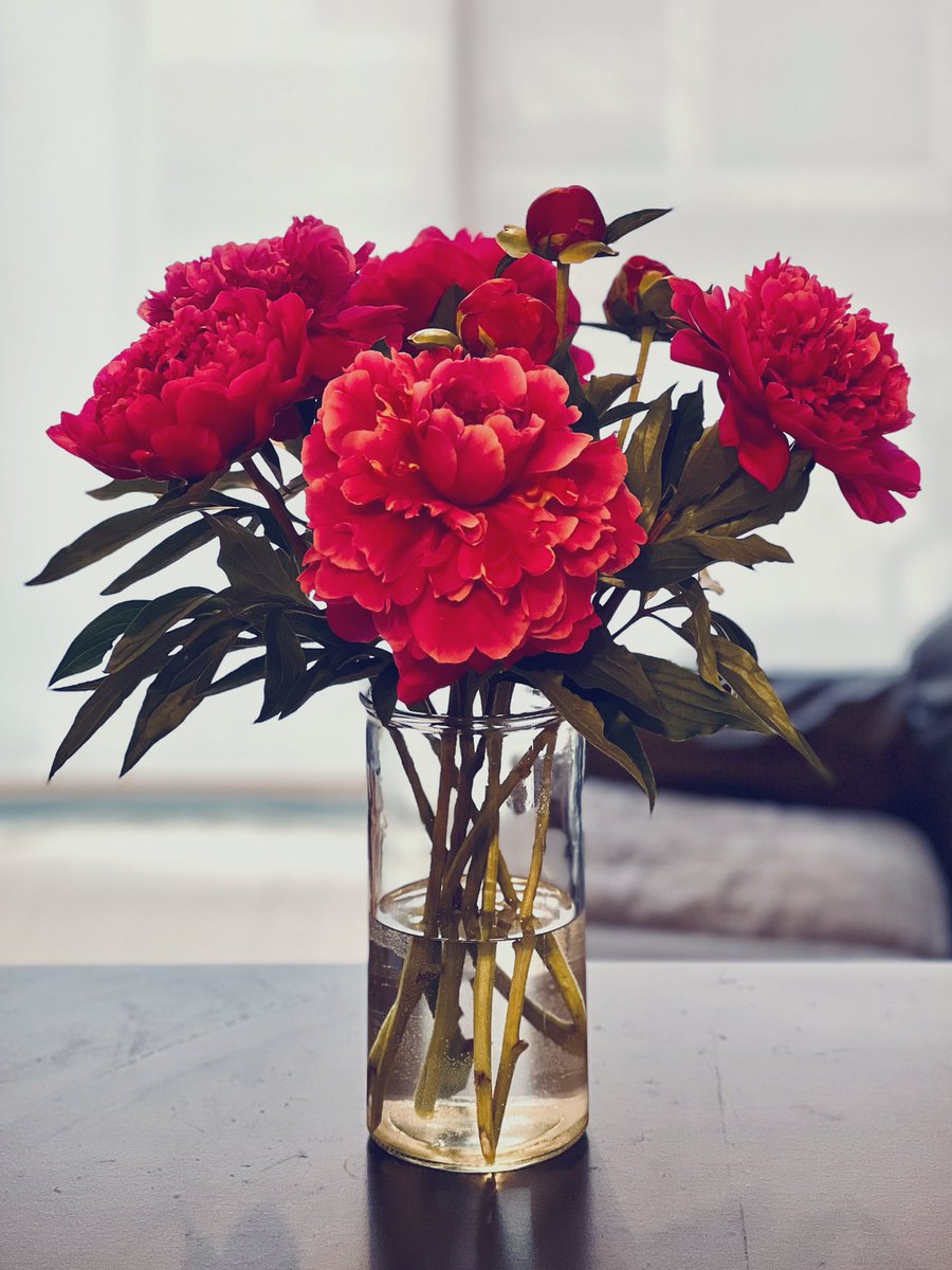 _junka's tweet image. アプリでお花買ってみた。上の子が「本物のお花って通販で買えるものなの」ってびっくりしてた。こんなに華やかで2500円未満。招待コード［XD4P］ で初回注文が10%OFFになるから使ってみてね #FLOWERのある暮らし