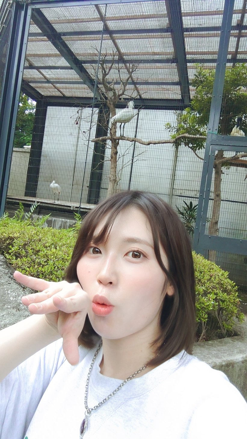 佐藤榛夏 on X: 