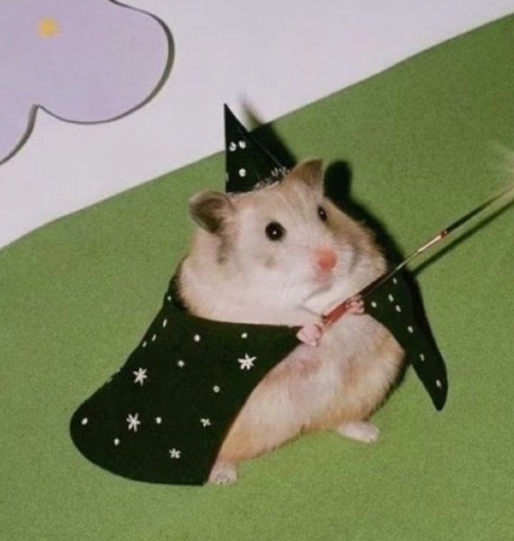 ANandyca's tweet photo. @LaunchOnPump $WRD + WITCH HAMSTER https://t.co/8TCuhjloOu
