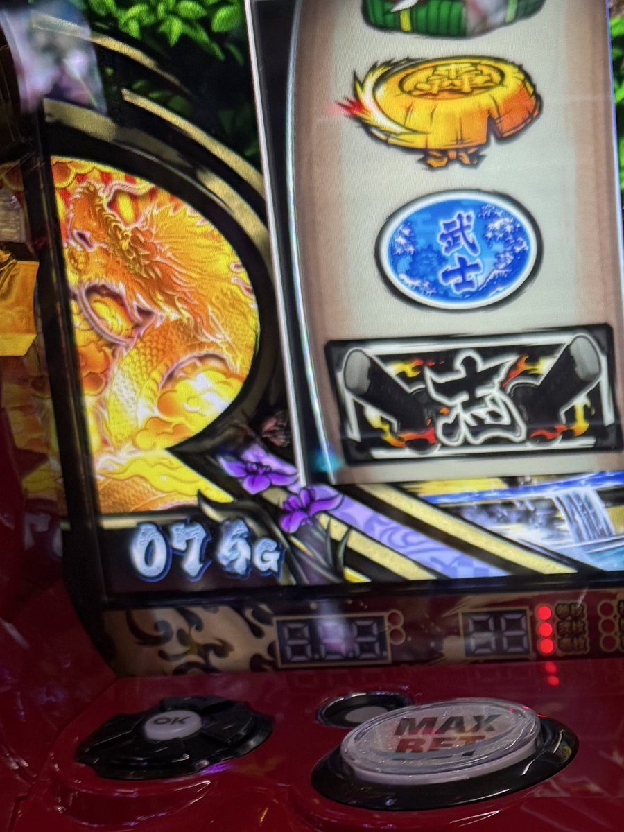 これはなんなの😗