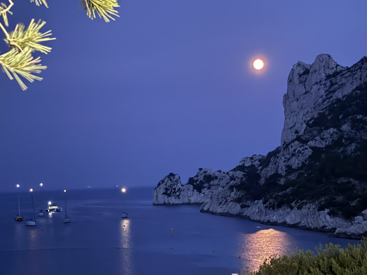 SHorisawa21's tweet image. Shared an amazing dinner with amazing neurosurgeons in Sormiou, Marseille.Beautiful view, fresh seafood, perfect evening.
マルセイユにある地中海に突き出す狭く美しい石灰岩の入り江カランク・ド・ソルミウ
#Sormiou #Marseille #neurosurgery #NobleArtOfLesioning