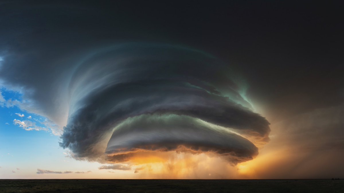 Nenah Demunster tweet media