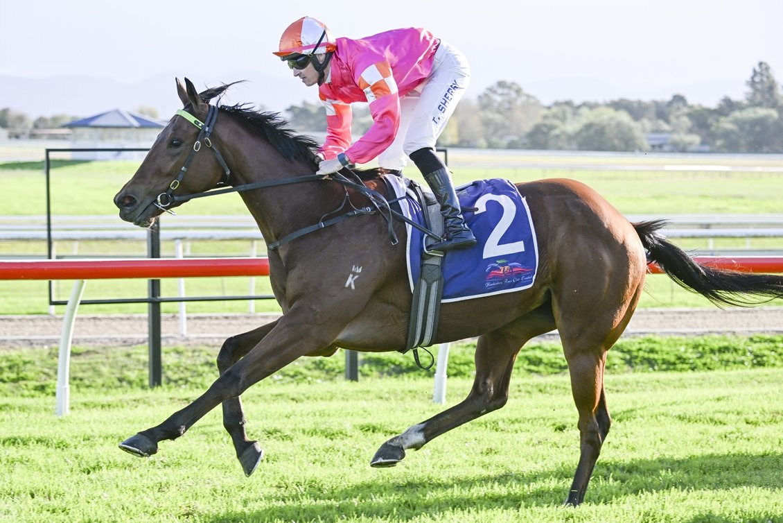 Racing NSW (@racing_nsw) on Twitter photo "As soon as she came down and had her first prep I really liked her."
Jason Attard says the future is bright for promising filly Oui Oui Oui and sees no reason why she can't make her presence felt at Rosehill on Saturday. 📸 <a href="/Bradley_Photos/">Bradley Photos</a>
READ: tinyurl.com/mruchtbv "As soon as she came down and had her first prep I really liked her."
Jason Attard says the future is bright for promising filly Oui Oui Oui and sees no reason why she can't make her presence felt at Rosehill on Saturday. 📸 <a href="/Bradley_Photos/">Bradley Photos</a>
READ: tinyurl.com/mruchtbv