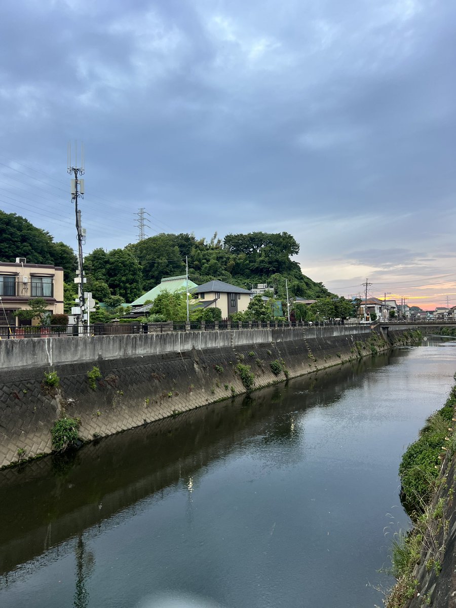 Ashley Peters tweet media