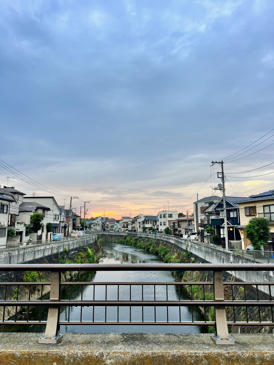 Ashley Peters tweet media