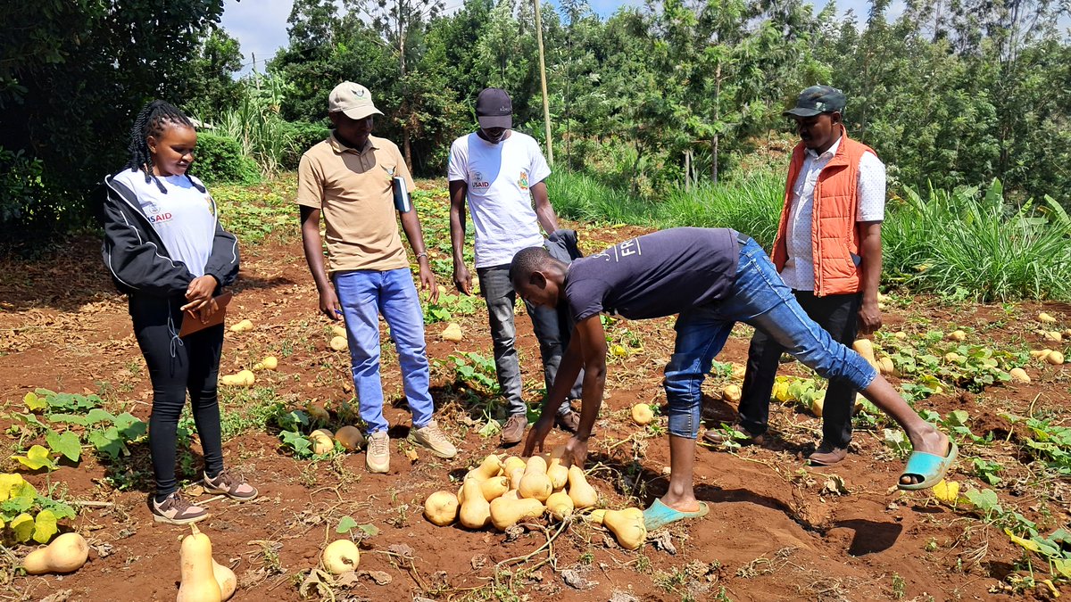 Youth are the heartbeat of a sustainable food future.
From farm to fork, young people are leading innovations in climate-smart agriculture, and agri-tech.

Let’s invest in youth, empower their ideas, and transform our food systems.

#YouthInAg #FutureOfFood #KilimoNiMboka