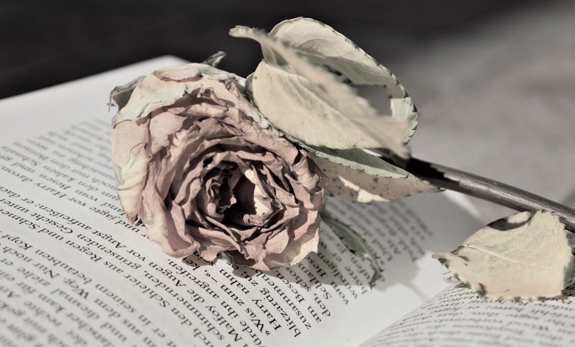 Time, you treat me like a casualty in your war on life
I thought you were an angel, and danced 
under your spell of minutes—
before I saw “Gracious Giver” etched on your palm,
before your glance burned my #skin.
You spin in epilogues while I scrounge for dawn.

#vss365
#poetry