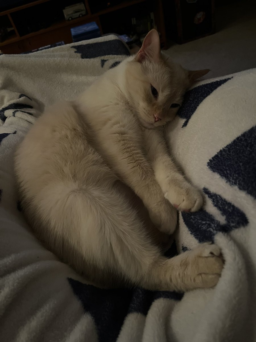 *Happy purring sounds*