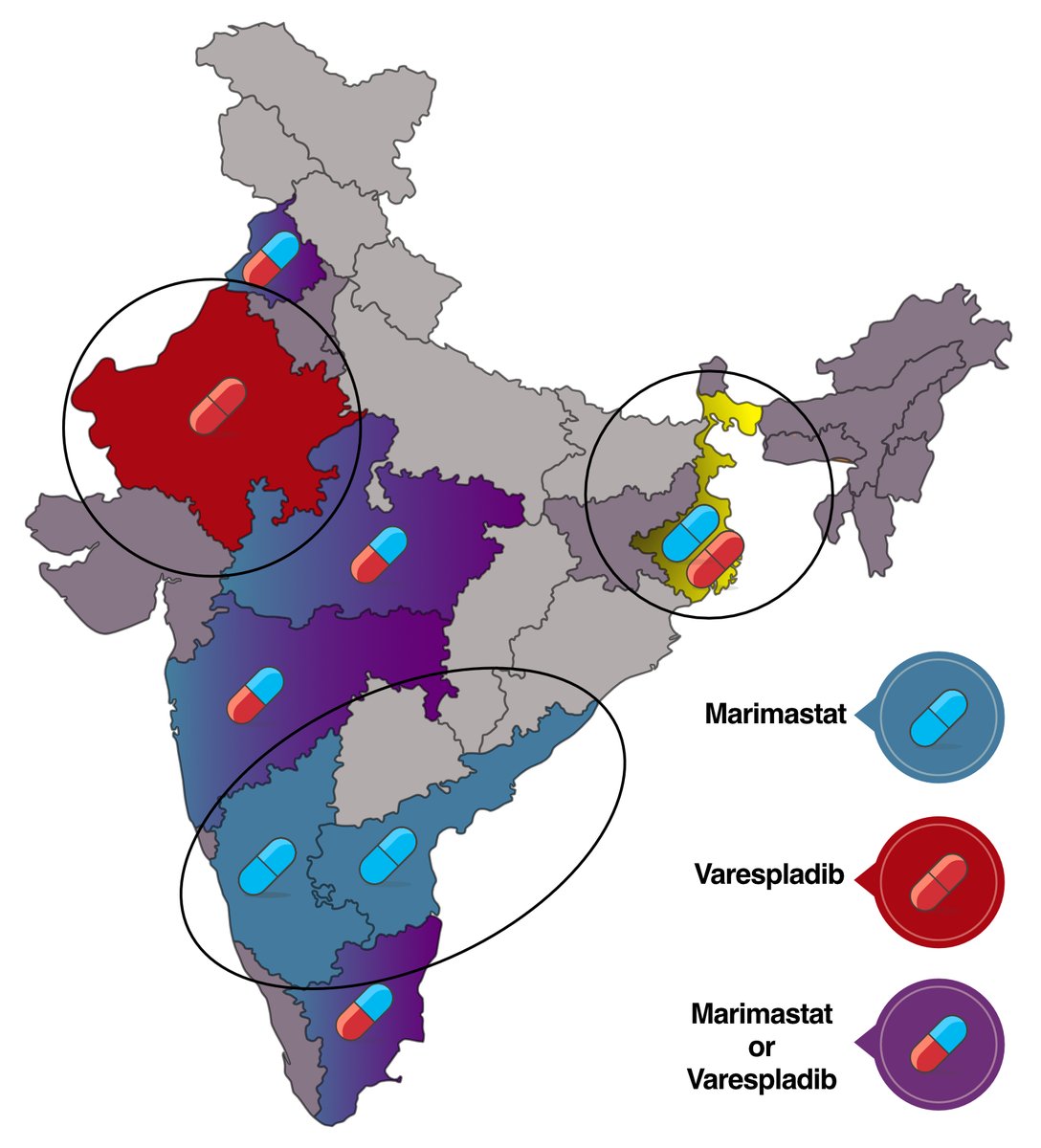 Our latest in Communications Medicine shows how repurposing existing drugs can tackle snakebites. We demonstrate the effectiveness of small molecule inhibitors in treating bites from Russell's viper, responsible for nearly half of India's snakebite cases.

tinyurl.com/244trx96