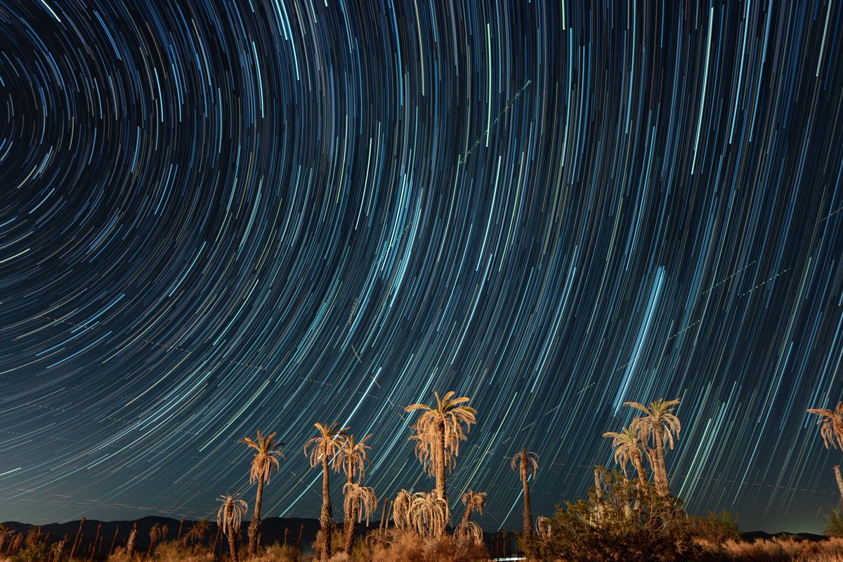 🧵: QP 4 pictures from your favorites folder

I chose two photos each from my bird photos folder and my Astro photos folder, my favorite two photography genres; choose by whatever method you wish!

🐦🕊️ 🌞 ✨