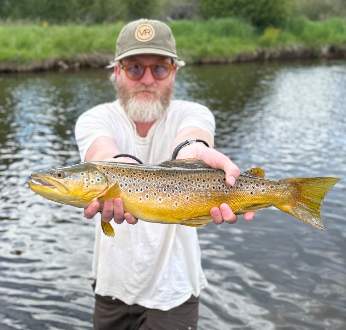 TJ Parker⚡️ tweet media