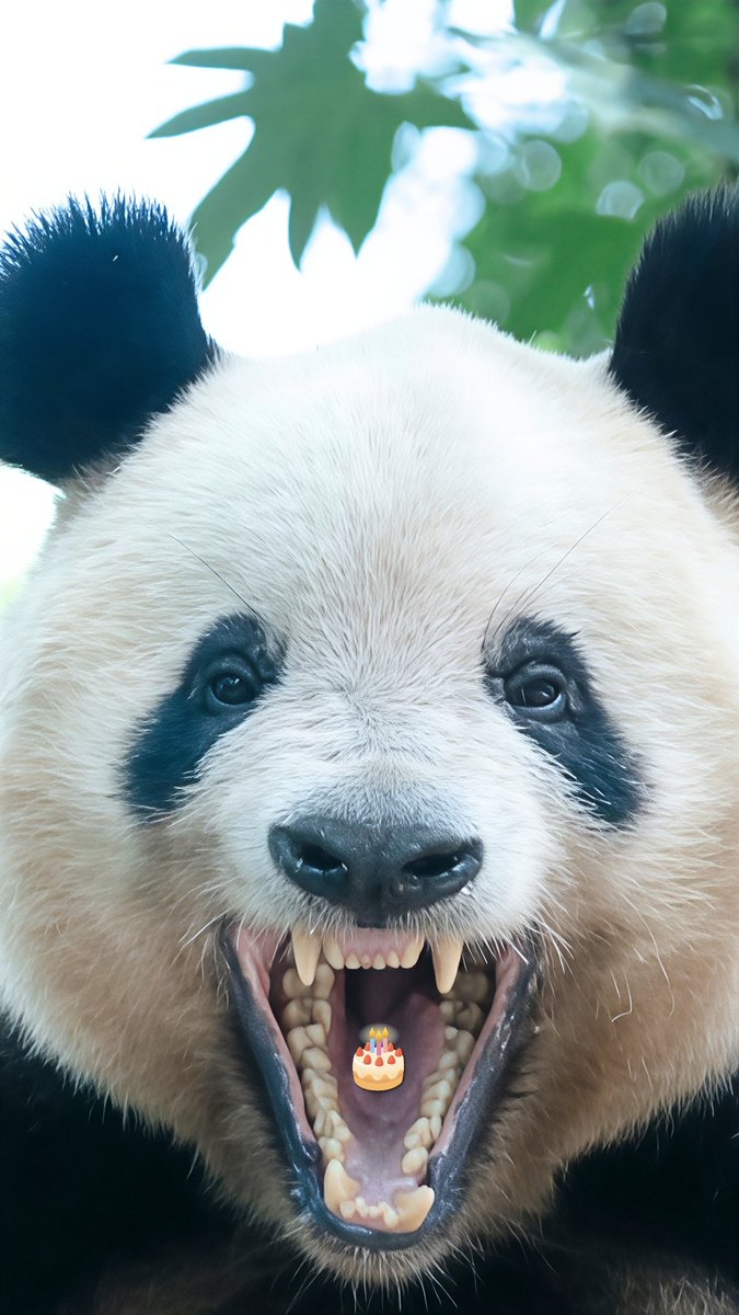 明日はシャンシャン姫に美味しいバースデーケーキを！🎂😋