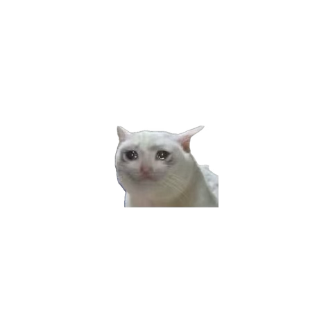 chaquinani's tweet photo. dms are dming but will they follow thru 💀 https://t.co/fviRJBDyZB