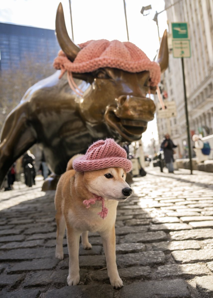 dogwifcoin tweet media