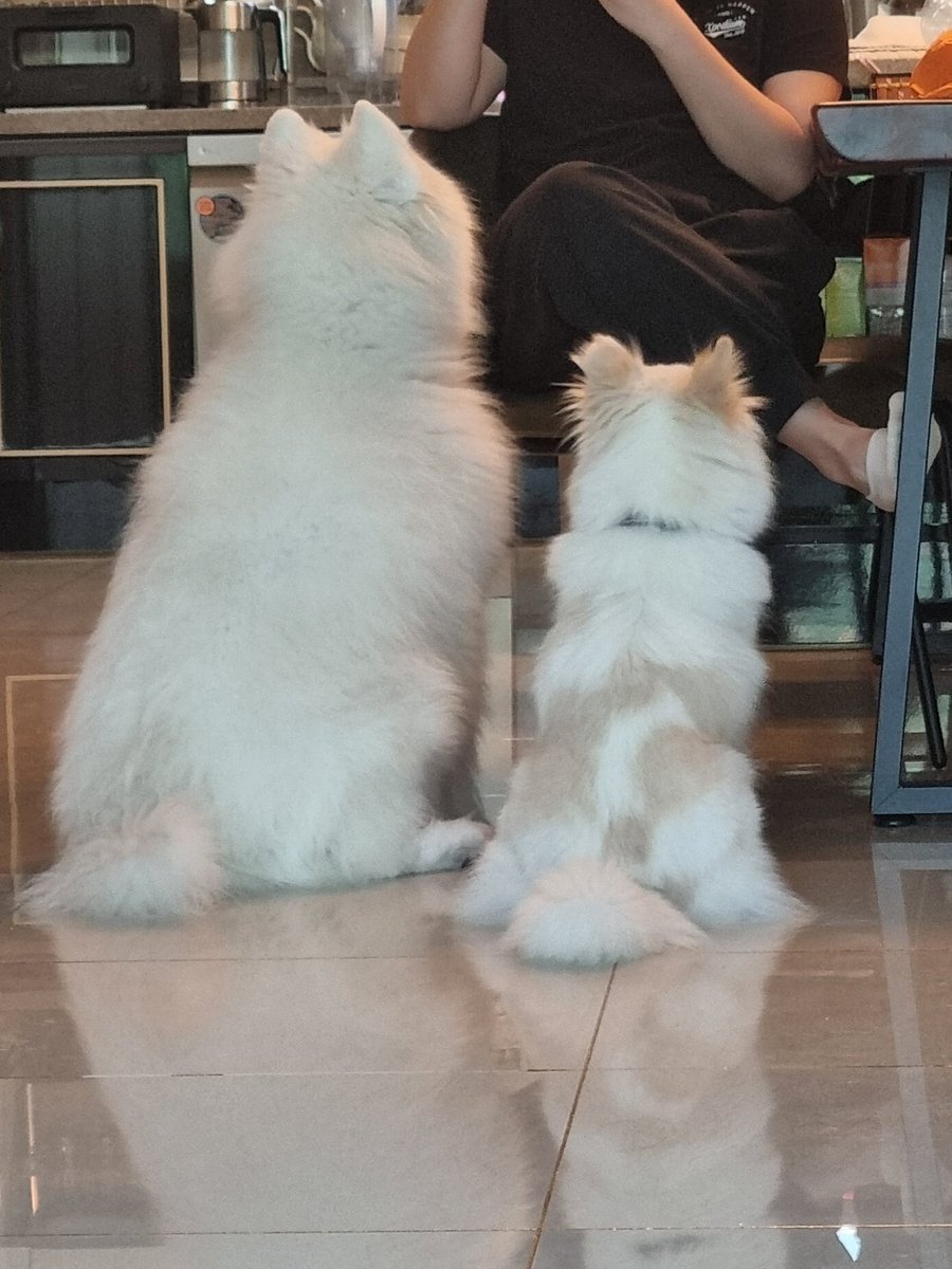 주세요 주세요