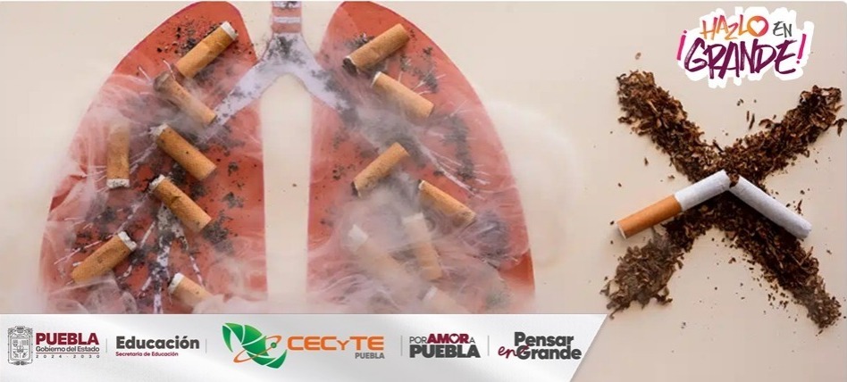 Cada vez que fumas cerca de otros, ellos también inhalan tu humo sin elegirlo.
Tu mamá, tu mejor amigo, tu pareja. 3,500 sustancias químicas entran a sus pulmones
Si fumas: Aléjate de otros, crea espacios libres de humo
#PorAmorAPuebla #PensarEnGrande #CECyTEPuebla #HazloEnGrande