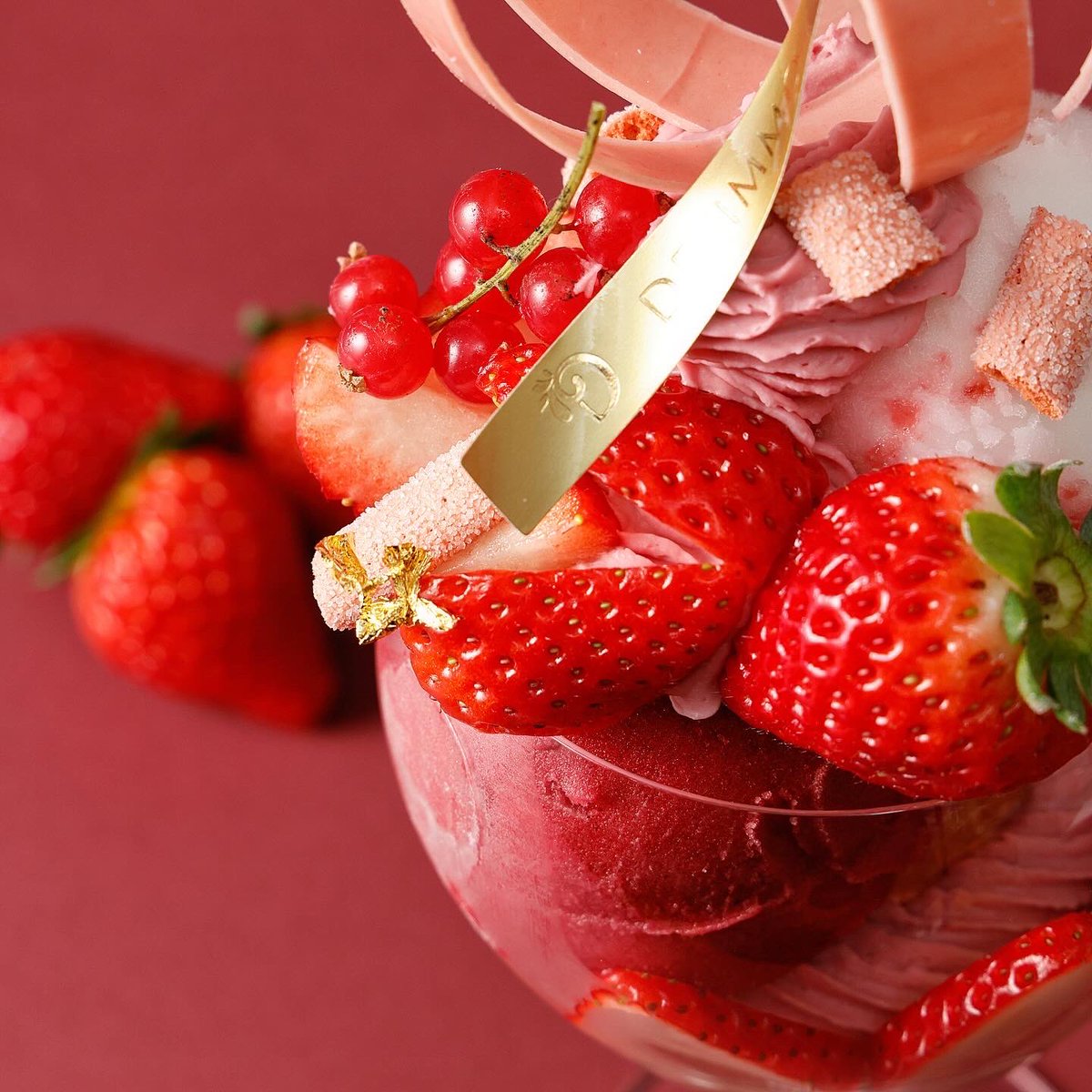 なんて最高な1日なんだ
真っ赤なケーキにパフェにありがとうございます、ヒィーヤ🎈

ジェシーさん
お誕生日おめでとうございます🎈

#HappyBirthdayJesse
