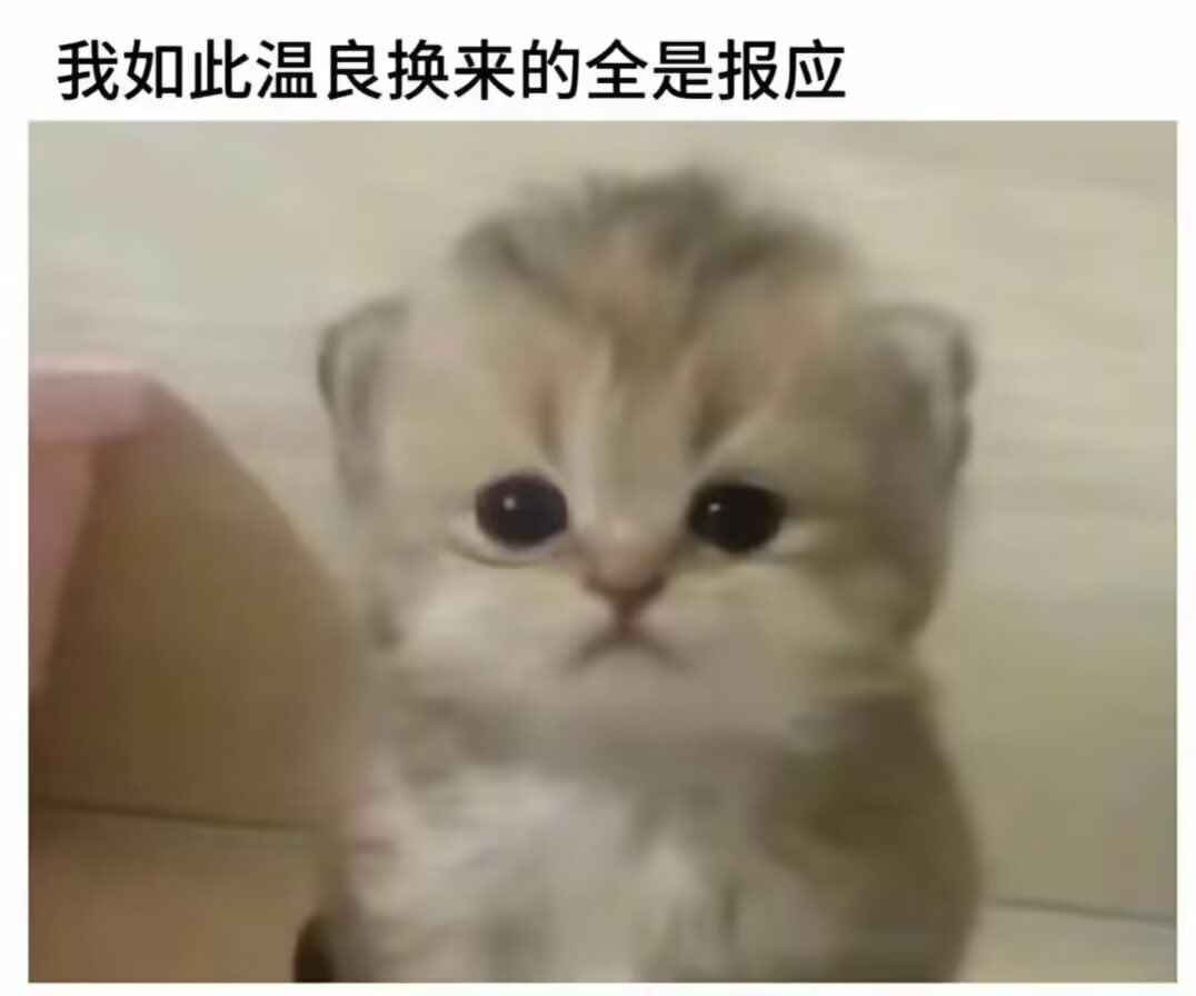 窝恨泥萌 (@alice_wasmx) on Twitter photo 