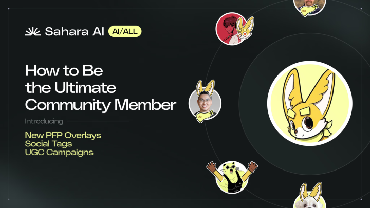 Sarah Taylor| Sahara AI 🔆 tweet media