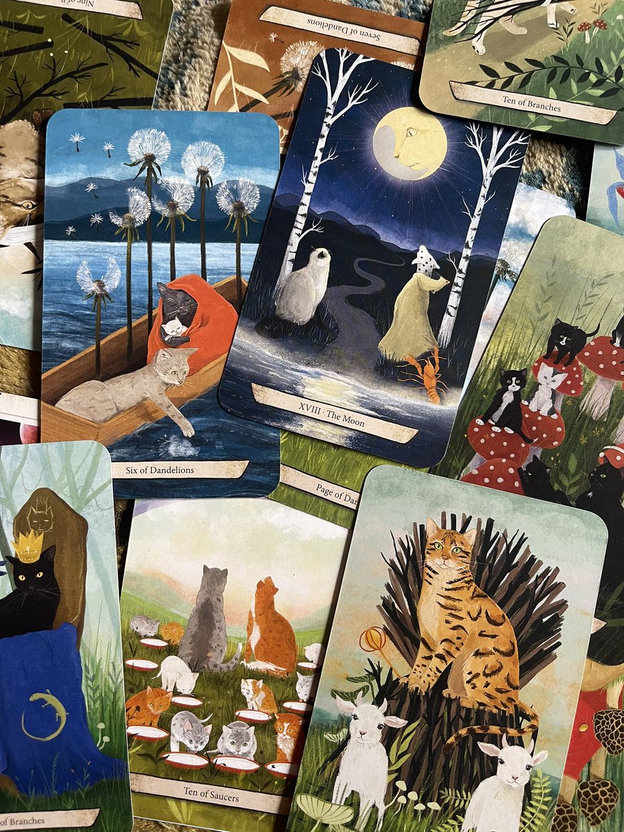 i loveeee my new tarot deck :')