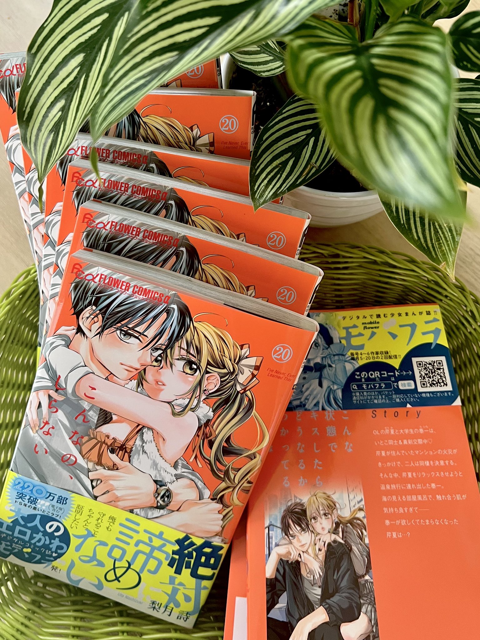 梨月詩🐸💭 (@NashizukiUta) / X
