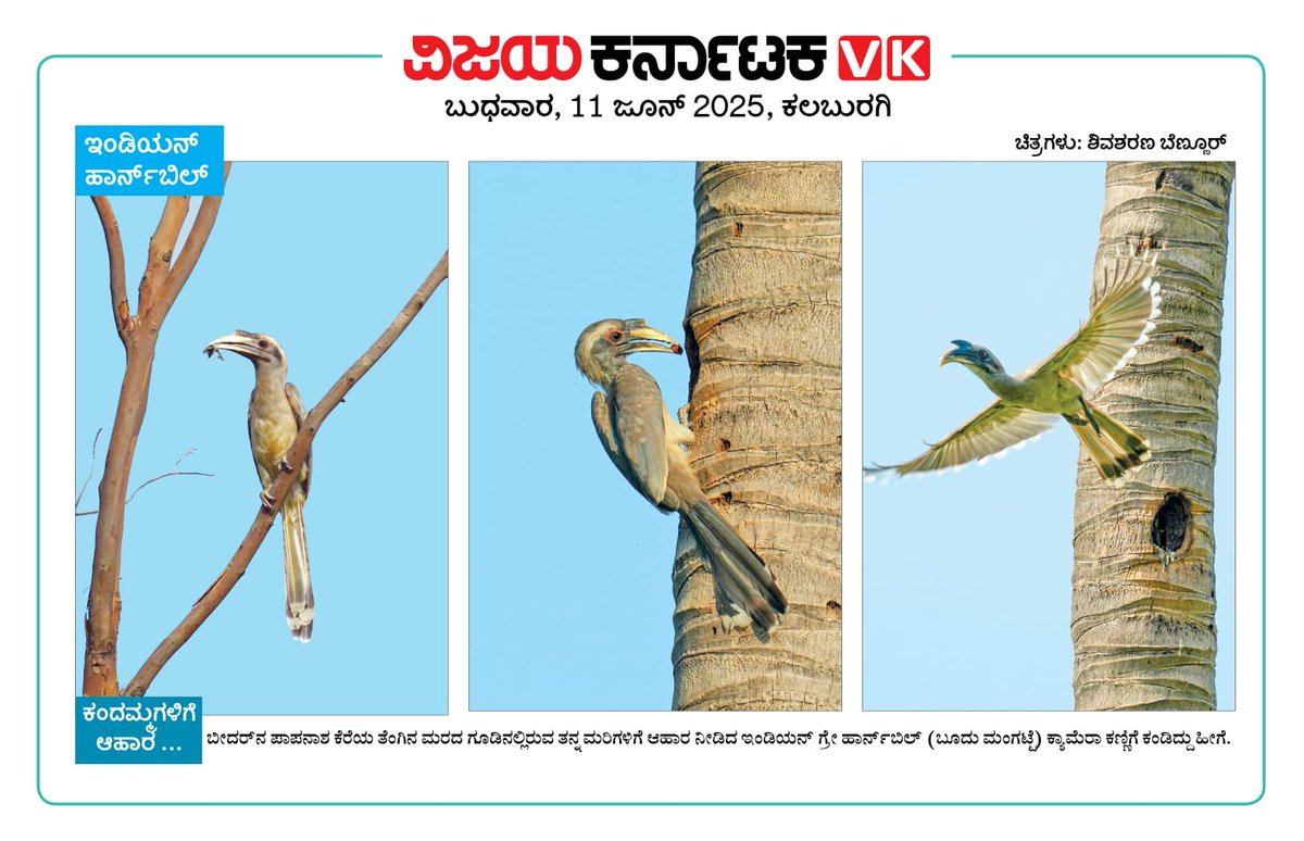 Devayya Guttedar (@guttedardevavk) on Twitter photo ಅಪರೂಪದ ಪಕ್ಷಿ #Indian_gray_hornbill ಬೀದರ್ ನ ಪಾಪನಾಶ ಕೆರೆಯಲ್ಲಿ <a href="/Vijaykarnataka/">vijaykarnataka</a> ಕ್ಯಾಮೆರಾ ಕಣ್ಣಿಗೆ ಕಂಡಿದ್ದು ಹೀಗೆ.
<a href="/editor_vk/">VK Editor</a>
<a href="/Sudarshanvk2/">Sudarshan Channangihalli</a>
<a href="/RajeevaVK/">Rajeeva C J</a>
<a href="/KarnatakaVarthe/">DIPR Karnataka</a>
<a href="/eshwar_khandre/">Eshwar Khandre</a>
<a href="/PriyankKharge/">Priyank Kharge / ಪ್ರಿಯಾಂಕ್ ಖರ್ಗೆ</a>
<a href="/secretarykkrdb/">KKRDB Kalaburagi</a>
#Sharanu_Bennur
<a href="/bidarupdates/">BIDAR Update</a> ಅಪರೂಪದ ಪಕ್ಷಿ #Indian_gray_hornbill ಬೀದರ್ ನ ಪಾಪನಾಶ ಕೆರೆಯಲ್ಲಿ <a href="/Vijaykarnataka/">vijaykarnataka</a> ಕ್ಯಾಮೆರಾ ಕಣ್ಣಿಗೆ ಕಂಡಿದ್ದು ಹೀಗೆ.
<a href="/editor_vk/">VK Editor</a>
<a href="/Sudarshanvk2/">Sudarshan Channangihalli</a>
<a href="/RajeevaVK/">Rajeeva C J</a>
<a href="/KarnatakaVarthe/">DIPR Karnataka</a>
<a href="/eshwar_khandre/">Eshwar Khandre</a>
<a href="/PriyankKharge/">Priyank Kharge / ಪ್ರಿಯಾಂಕ್ ಖರ್ಗೆ</a>
<a href="/secretarykkrdb/">KKRDB Kalaburagi</a>
#Sharanu_Bennur
<a href="/bidarupdates/">BIDAR Update</a>