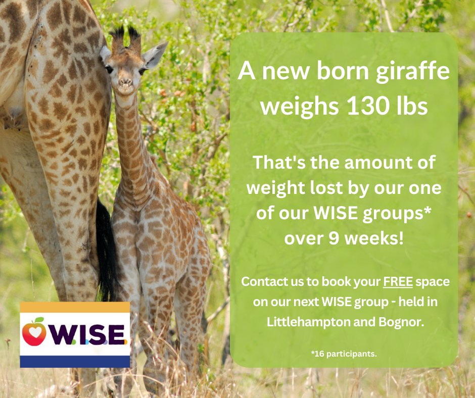 Our next WISE weight loss group starts in July in Littlehampton.

If you'd like to join this FREE 12-week course please fill out the referral form on our website and one of our Advisers will call you to book your space:
arunwellbeing.org.uk
