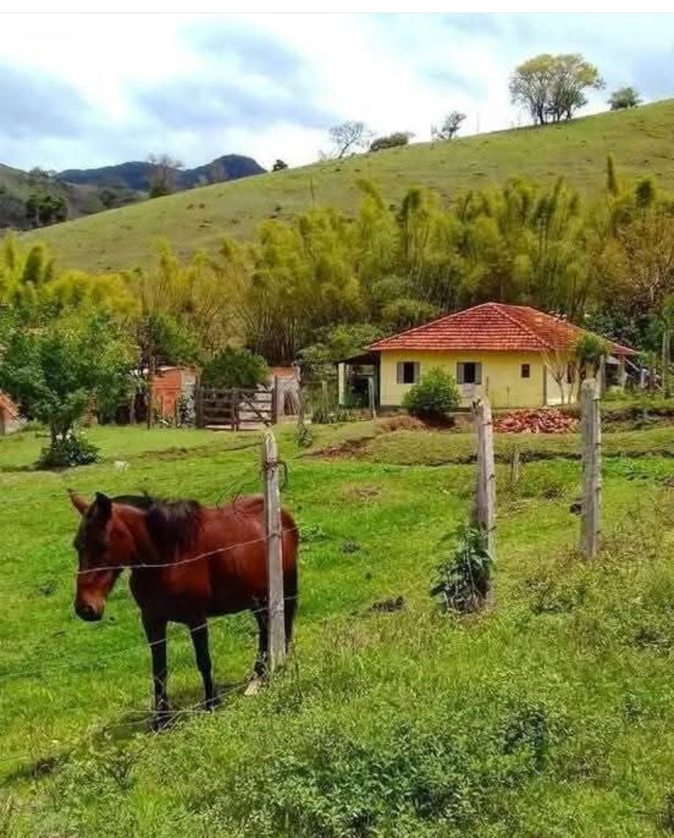 Con excelentes bestias se manejan adecuadamente los animales para llevarlos a pastorear 
#Derribandomitos 
#Fedegan61años 
#OrgullosamenteGanaderos 
#ConstruyendoGanadería
