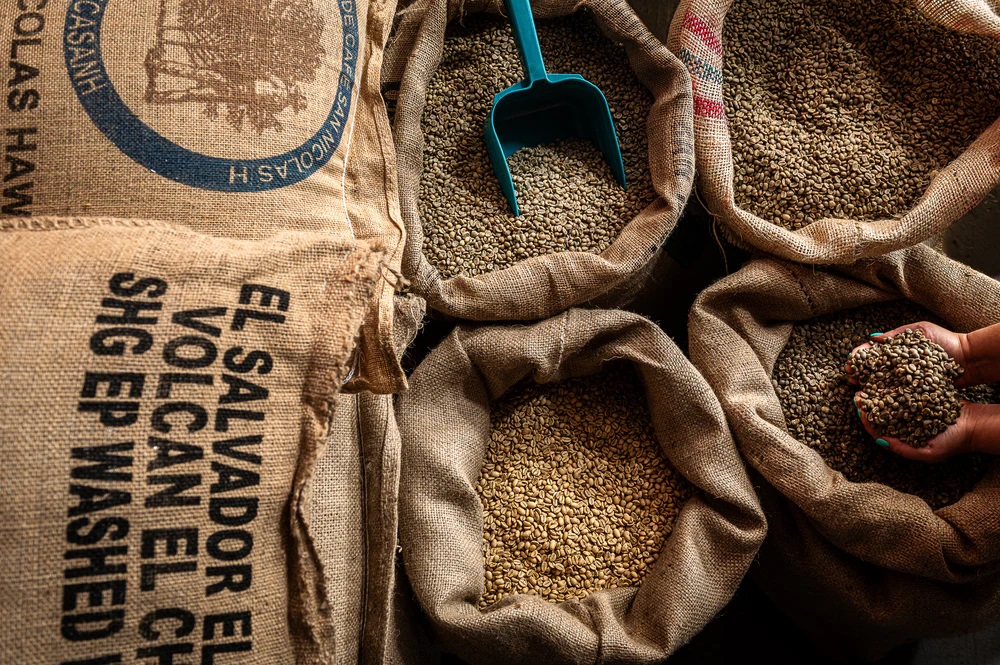 Pónaire (Irish for bean) is a premium coffee roaster in Newport, run by Thomas &amp; Jennifer Ryan. They roast top-grade, hand-picked beans from around the world &amp; support small growers. Shop online 👉 ponaire.ie
#ponairecoffee #coffeeroastery #ponairecoffeeroastery