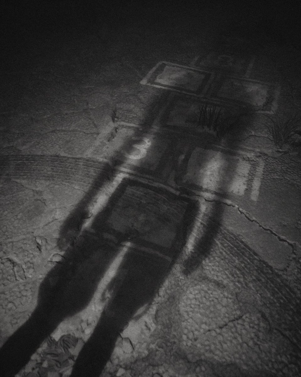 shkegulka tweet media