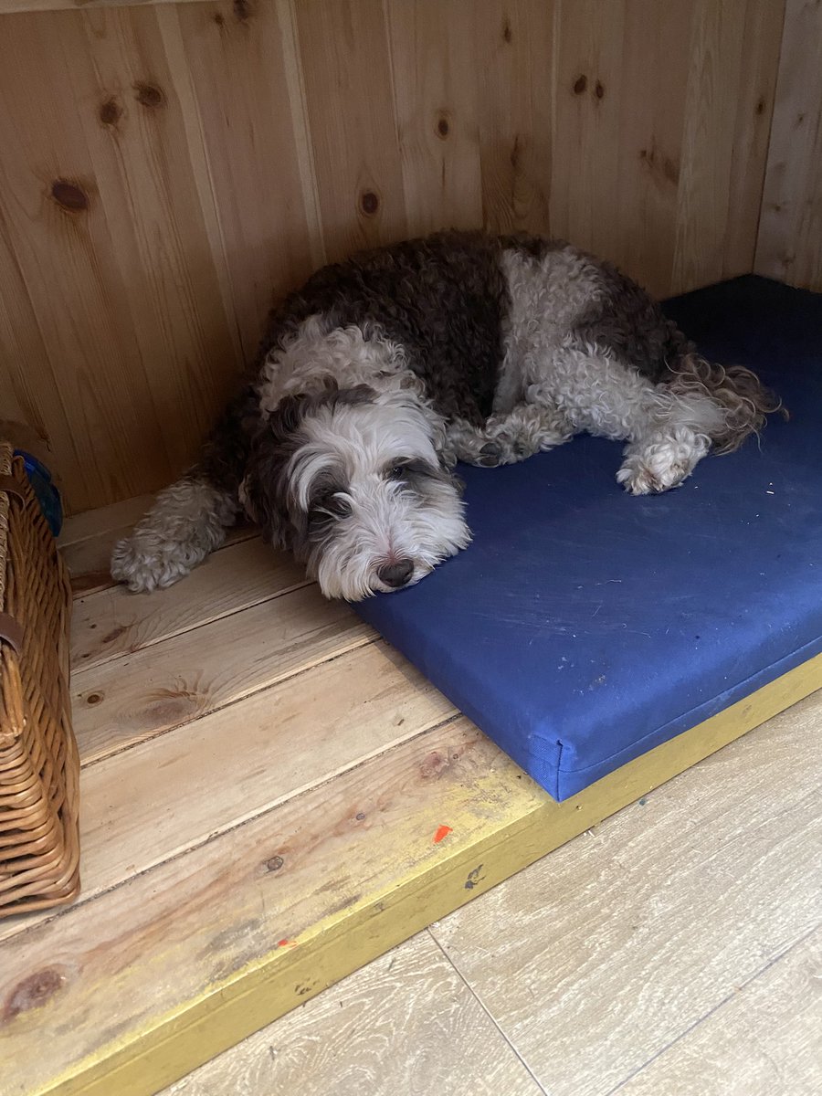 BeMoreBob tweet media