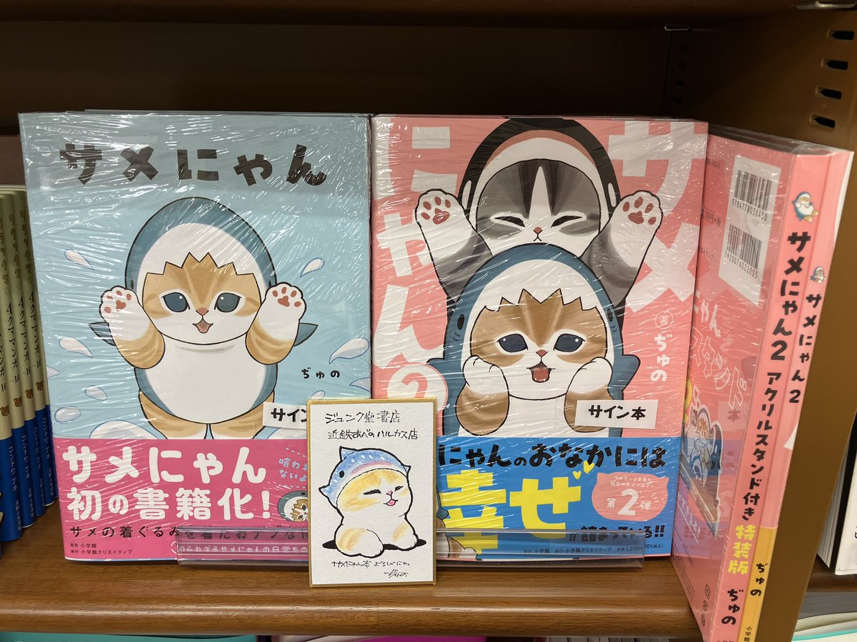 サメにゃん』の著者ぢゅのさんがお越しくださってサイン本をいただき