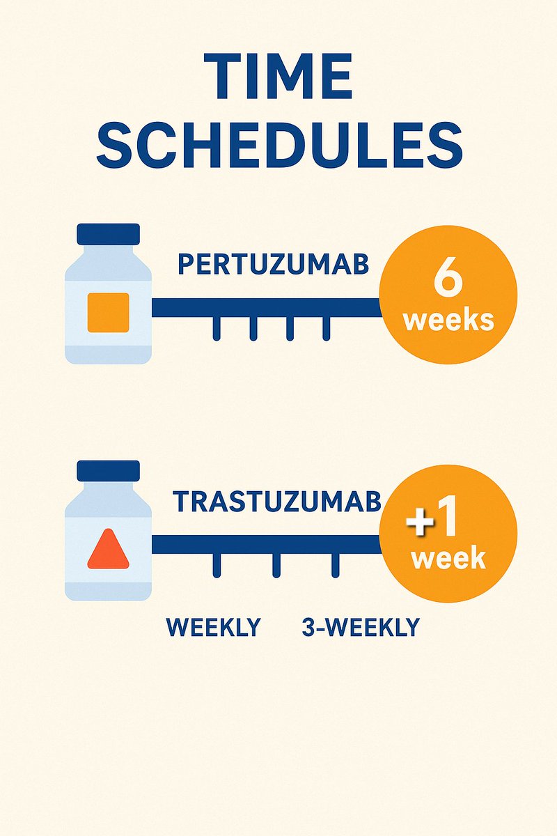 Practice Point:
If more than 6 weeks have passed since the last pertuzumab dose, a reloading dose of 840 mg should be administered.
This is particularly relevant in the perioperative setting, where pertuzumab scheduling requires careful attention.

For trastuzumab, a reloading