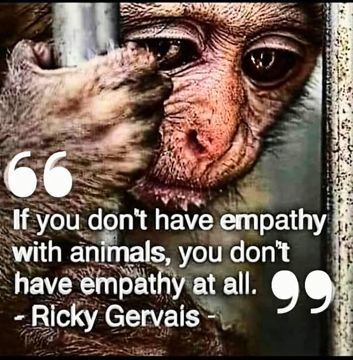 Dervilla(v) (@derviemoo) on Twitter photo 