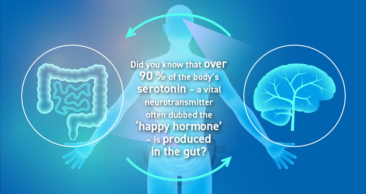 Over 90 % of your body’s #serotonin is made in the gut, not the brain!

Your #microbiome plays a major role in mood, #immunity and digestion via the #GutBrainAxis.

Keep your gut in balance, and your mind may follow.

#GutHealth #MentalHealth #Microbiota