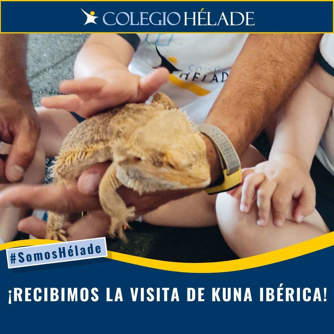 🐾 ¡Recibimos la visita de Kuna Ibérica! Nuestros alumnos más pequeños disfrutaron conociendo de cerca a algunos animales y aprendiendo sobre su cuidado y respeto. Una experiencia educativa y emocionante que no olvidarán. 🦉🐢 #SomosHélade