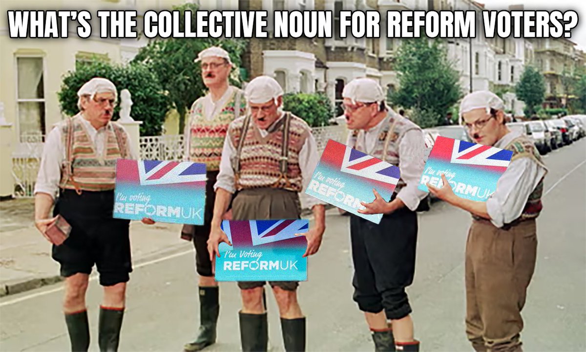 What's the collective noun for Reform voters?