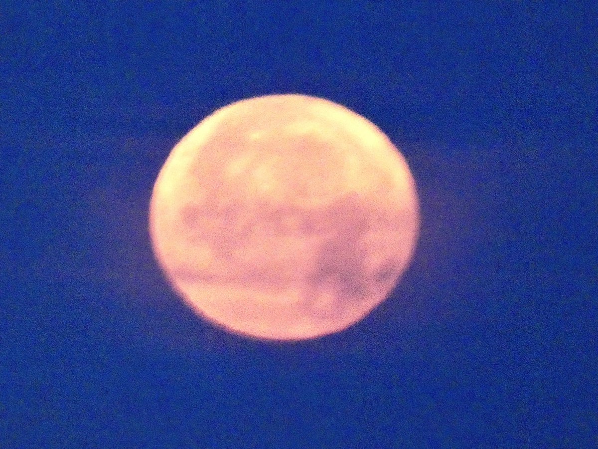 Mark Moore (@mmoore_hoops) on Twitter photo #StrawberryMoon2025 #SunsetBeach <a href="/EdPiotrowski/">Ed Piotrowski</a> <a href="/medwick/">Gannon Medwick</a> <a href="/ChrissyKohler/">Chrissy Kohler</a> <a href="/WXIIJackie/">WXII Jackie Pascale</a> <a href="/jamiearnoldWMBF/">Jamie Arnold WMBF</a> <a href="/LeeHaywoodWX/">Lee Haywood</a> <a href="/dogwoodblooms/">Cassie Clark</a> <a href="/marioncaldwx/">Marion Caldwell</a> <a href="/JustinMcKeeWx/">Justin McKee</a> <a href="/StarboardRail/">The Starboard Rail</a> <a href="/ThePhotoHour/">#ThePhotoHour</a> <a href="/Christina4casts/">Christina Anthony</a> <a href="/CMorganWX/">Christian Morgan</a> <a href="/AndrewWMBF/">Andrew Dockery</a> <a href="/ScottyPowellWX/">Scotty Powell</a> <a href="/TimBuckleyWX/">Tim Buckley</a> <a href="/matt_wx/">Meteorologist Matt Bullock</a> <a href="/jgreenhillwx/">Jenna Greenhill</a> #StrawberryMoon2025 #SunsetBeach <a href="/EdPiotrowski/">Ed Piotrowski</a> <a href="/medwick/">Gannon Medwick</a> <a href="/ChrissyKohler/">Chrissy Kohler</a> <a href="/WXIIJackie/">WXII Jackie Pascale</a> <a href="/jamiearnoldWMBF/">Jamie Arnold WMBF</a> <a href="/LeeHaywoodWX/">Lee Haywood</a> <a href="/dogwoodblooms/">Cassie Clark</a> <a href="/marioncaldwx/">Marion Caldwell</a> <a href="/JustinMcKeeWx/">Justin McKee</a> <a href="/StarboardRail/">The Starboard Rail</a> <a href="/ThePhotoHour/">#ThePhotoHour</a> <a href="/Christina4casts/">Christina Anthony</a> <a href="/CMorganWX/">Christian Morgan</a> <a href="/AndrewWMBF/">Andrew Dockery</a> <a href="/ScottyPowellWX/">Scotty Powell</a> <a href="/TimBuckleyWX/">Tim Buckley</a> <a href="/matt_wx/">Meteorologist Matt Bullock</a> <a href="/jgreenhillwx/">Jenna Greenhill</a>