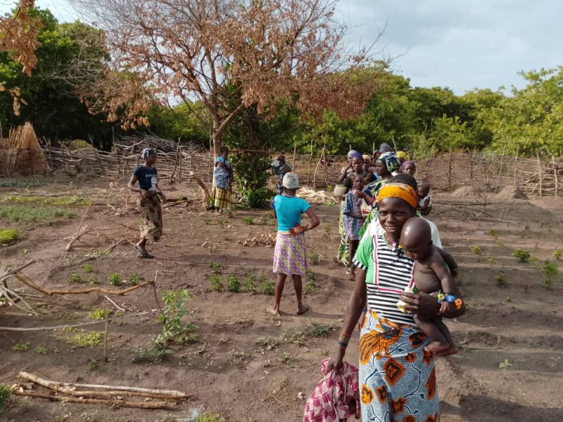 youth_yilaa's tweet image. #Focus: From March 27-31, 2025, Youth Initiative for Land in Africa (YILAA) partnered with #ANYAN NGO for a crucial #agroecological training restitution across four villages in #Nikki: #Suya, #Bouca #Néré, #Dè_Gando, and #Soumarou.