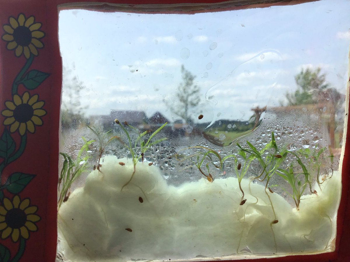 Mrs Edwards tweet media